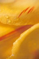 010508_0745_0020_nsls.jpg