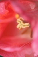 010508_0745_0018_nsls.jpg