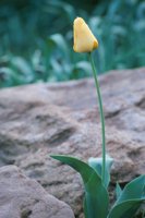 010508_0745_0015_nsls.jpg