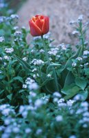 010508_0745_0013_nsls.jpg