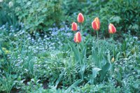 010508_0745_0011_nsls.jpg