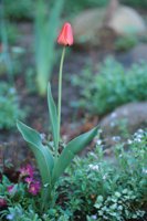 010508_0745_0009_nsls.jpg