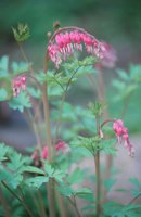 010508_0745_0008_nsls.jpg