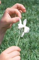 010508_0744_0021_nsls.jpg