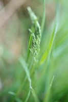 010501_0743_0018_nsls.jpg