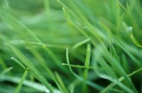010501_0743_0017_nsls.jpg
