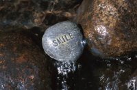 010426_0732_0079_nsls.jpg