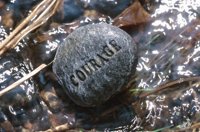 010426_0732_0068_nsls.jpg