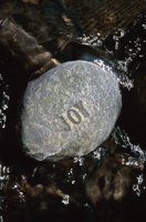 010426_0732_0066_nsls.jpg