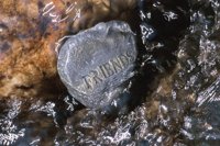 010426_0732_0058_nsls.jpg