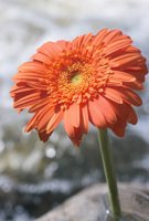 010426_0732_0020_nsls.jpg