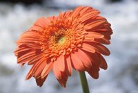 010426_0732_0019_nsls.jpg