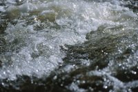 010426_0732_0002_nsls.jpg