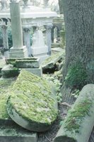 010412_0720_0218_nsls.jpg