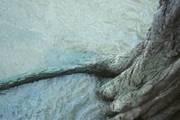 010412_0720_0116_nsls.jpg