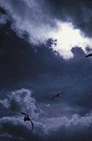 010309_0801_0699_nsls.jpg