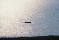 010309_0801_0697_nsls.jpg