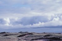 010309_0801_0692_nsls.jpg
