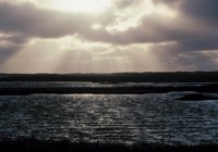 010309_0801_0688_nsls.jpg