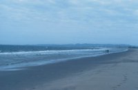 010309_0801_0686_nsls.jpg