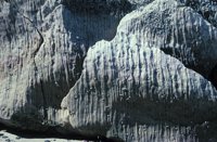 010309_0801_0685_nsls.jpg