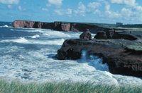 010309_0801_0684_nsls.jpg