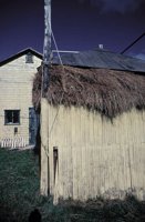 010309_0801_0675_nsls.jpg