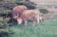 010309_0801_0669_nsls.jpg