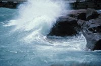 010309_0801_0666_nsls.jpg