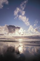 010309_0801_0665_nsls.jpg
