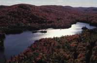 010309_0801_0664_nsls.jpg
