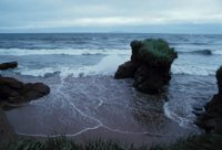010309_0801_0661_nsls.jpg