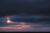 010309_0801_0659_nsls.jpg