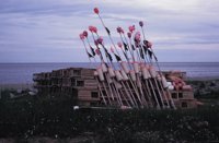 010309_0801_0658_nsls.jpg