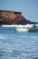 010309_0801_0656_nsls.jpg