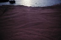 010309_0801_0655_nsls.jpg