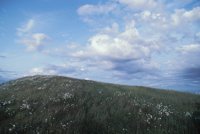 010309_0801_0650_nsls.jpg