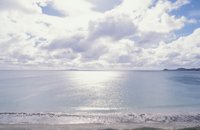 010309_0801_0648_nsls.jpg
