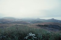 010309_0801_0640_nsls.jpg