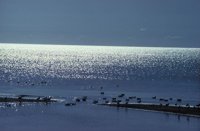 010309_0801_0638_nsls.jpg