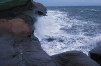 010309_0801_0632_nsls.jpg