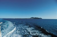010309_0801_0628_nsls.jpg