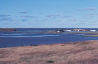 010309_0801_0626_nsls.jpg