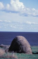 010309_0801_0625_nsls.jpg