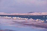 010309_0801_0624_nsls.jpg