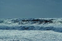 010309_0801_0623_nsls.jpg
