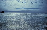 010309_0801_0621_nsls.jpg