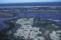 010309_0801_0616_nsls.jpg
