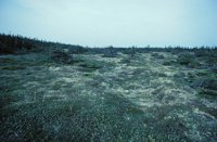 010309_0801_0614_nsls.jpg