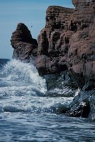 010309_0801_0611_nsls.jpg